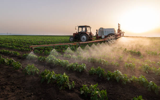 Best Mosquito Control Services  in Siena College, NY