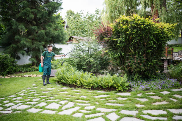 Best Affordable Pest Control Services  in Siena College, NY