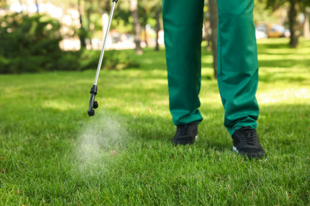 Best Best Pest Control Companies  in Siena College, NY
