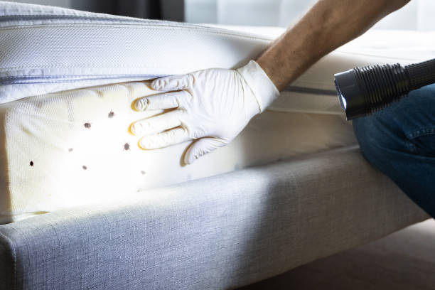 Best Pest Inspection Near Me  in Siena College, NY