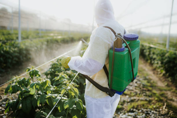 Flea Control Services in Siena College, NY